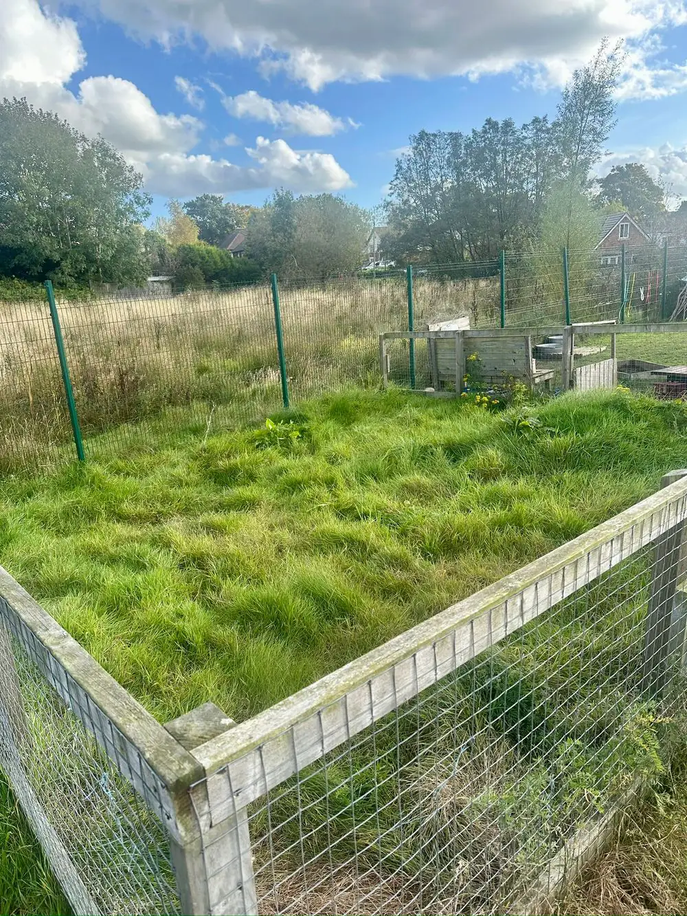 The fenced plot at Broadoak Academy before work began