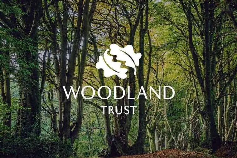 A tree planting day with the Woodland Trust
